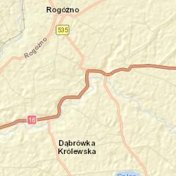 Rogóźno Street Map
