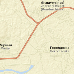 Mirnyy Street Map
