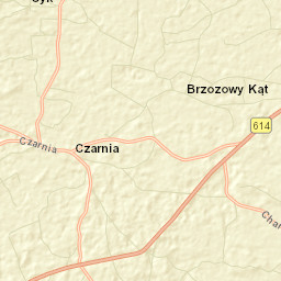 Czarnia Street Map