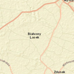 Myszyniec Street Map