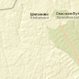 Spasskoye-Lutovinovo Street Map