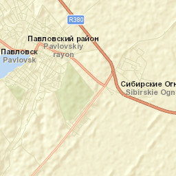 Pavlovsk Street Map