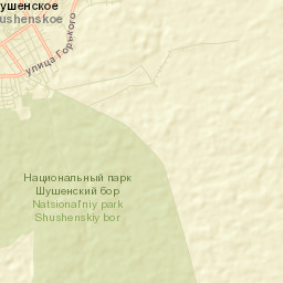 Shushenskoye Street Map