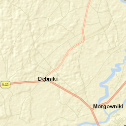 Nowogród Street Map