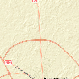 Nyasvizhski Rayon Street Map