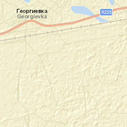 Georgiyevka Street Map