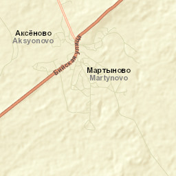 Martynovo Street Map