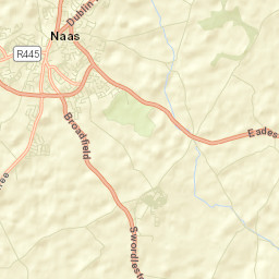 Naas Street Map