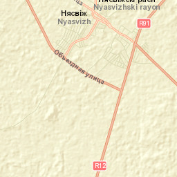 Nyasvizh Street Map