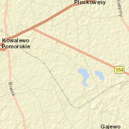 Kowalewo Pomorskie Street Map