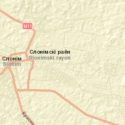Slonim Street Map