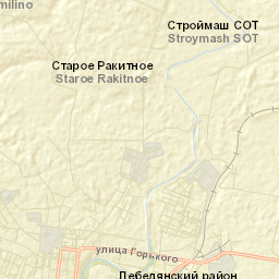 Lebedyan’ Street Map