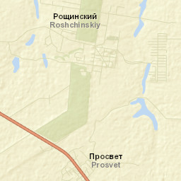 Roschinskiy Street Map