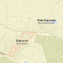 Borskoye Street Map