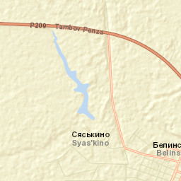 Belinskiy Street Map