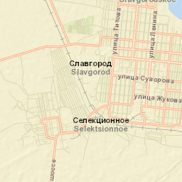 Slavgorod Street Map
