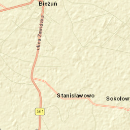 Bieżuń Street Map