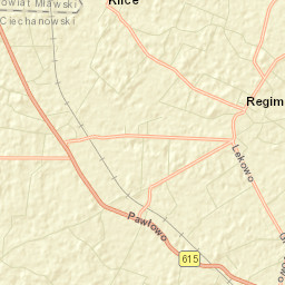 Regimin Street Map