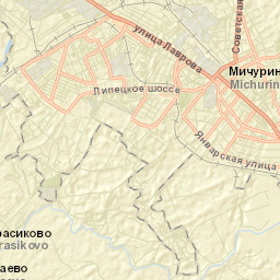 Michurinsk Street Map