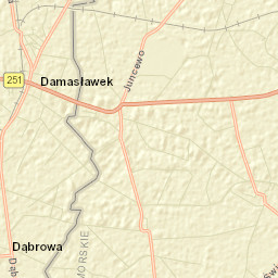 Damasławek Street Map