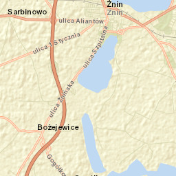 Żnin Street Map