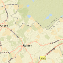 Ruinen Street Map