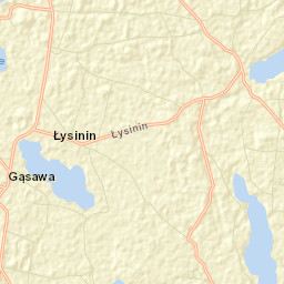Gąsawa Street Map