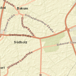 Bakum Street Map