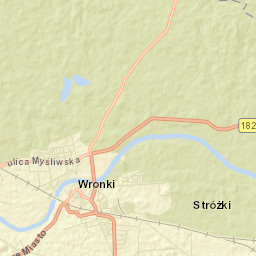 Wronki Street Map