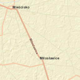 Mieścisko Street Map