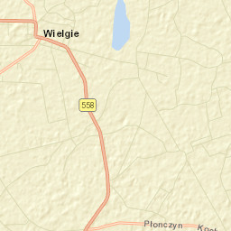 Wielgie Street Map