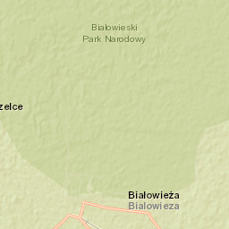 Białowieża Street Map