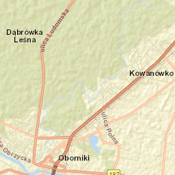 Oborniki Street Map