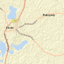 Skoki Street Map