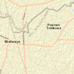 Mieleszyn Street Map
