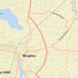 Mogilno Street Map