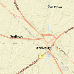 Szamotuły Street Map