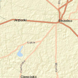 Strzelno Street Map