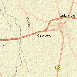Radziejów Street Map