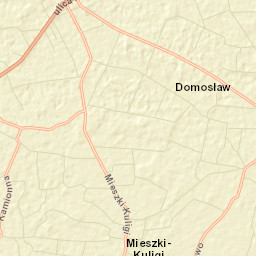 Winnica Street Map