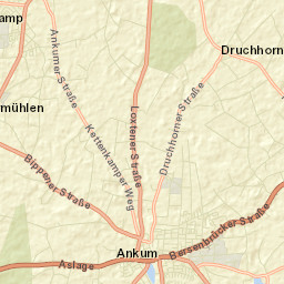 Ankum Street Map