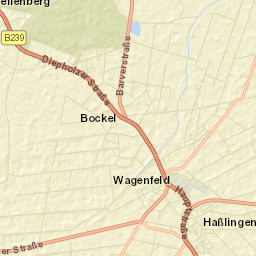Wagenfeld Street Map