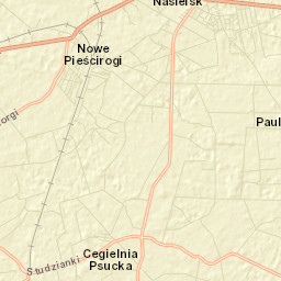 Nasielsk Street Map