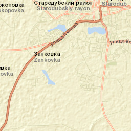 Starodub Street Map