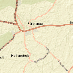 Fürstenau Street Map