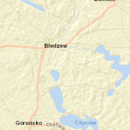 Bledzew Street Map