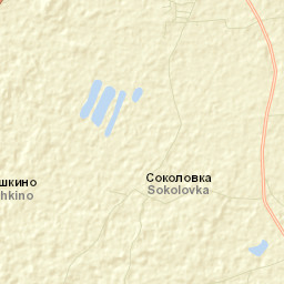 Starodubskiy Rayon Street Map
