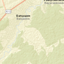 Balkashino Street Map