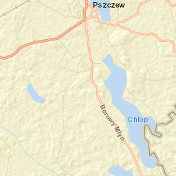 Pszczew Street Map