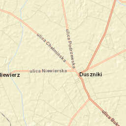 Duszniki Street Map